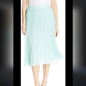 Jessica Simpson Pleated Gypsy Mint Midi Skirt